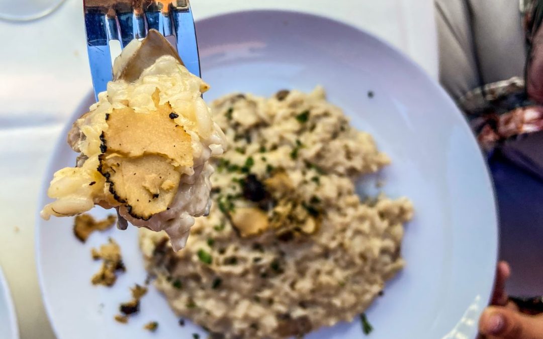 Try the Best Risotto in San Diego at Osteria Panevino